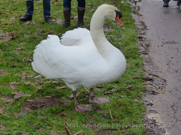 Wandertag 2015 - 019.jpg